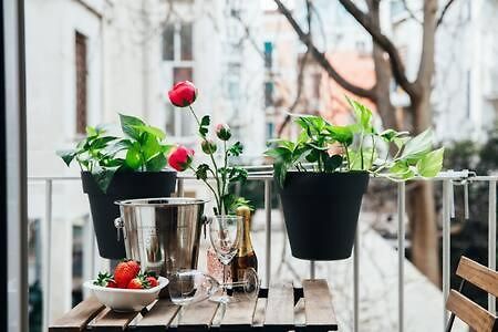 Flores Home Бари Екстериор снимка